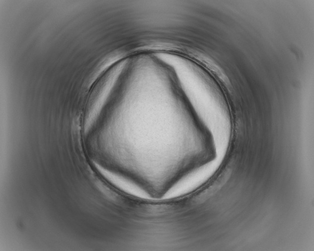 X0000113321425200910051116