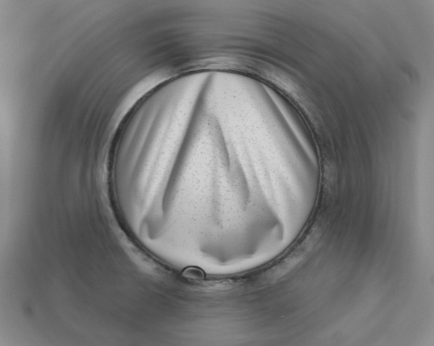 X0000113321426200910051116