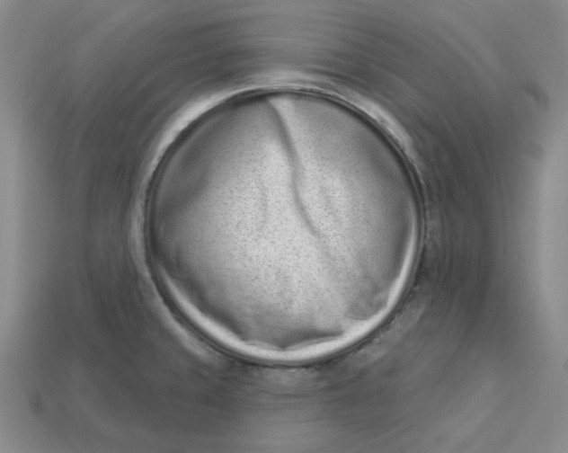 X0000113321429200910051116