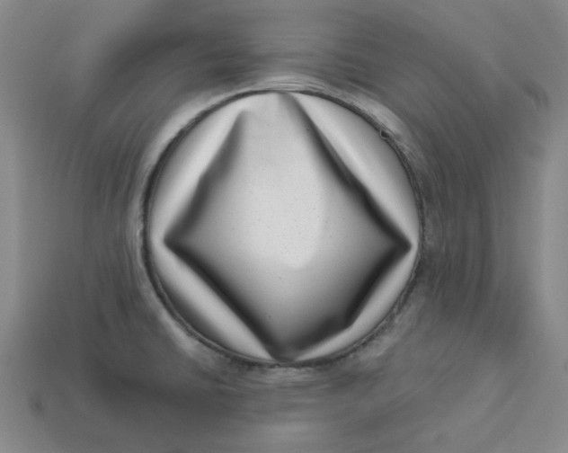 X0000113321430200910051116