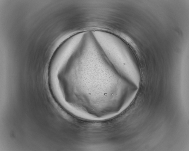 X0000113321431200910051116