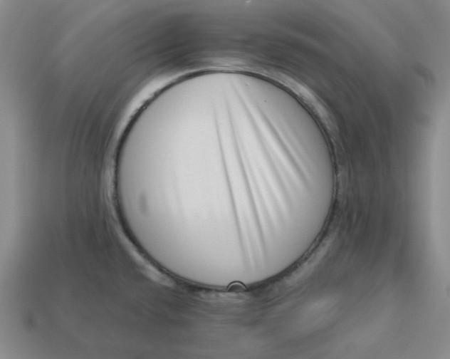 X0000113321432200910051116