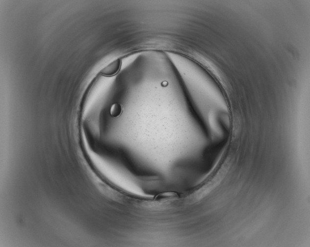 X0000113321434200910051116