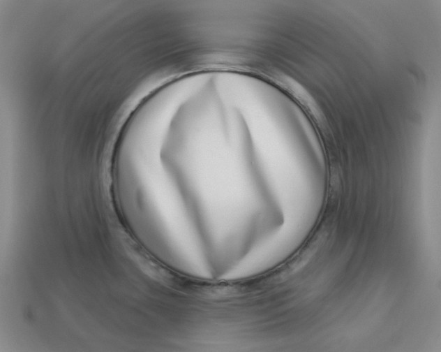 X0000113321435200910051116