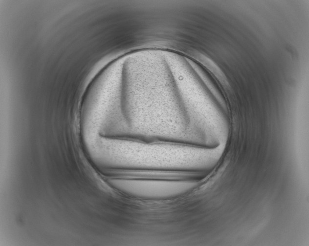 X0000113321436200910051116