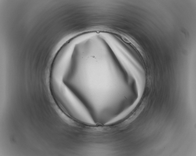 X0000113321438200910051116