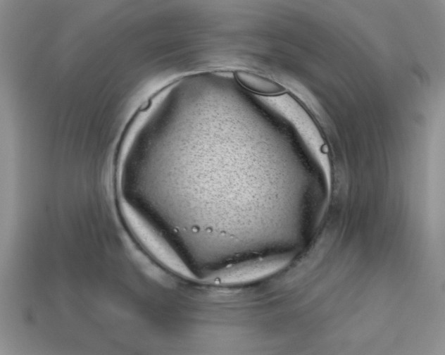 X0000113321439200910051116