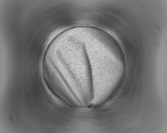 X0000113321440200910051116