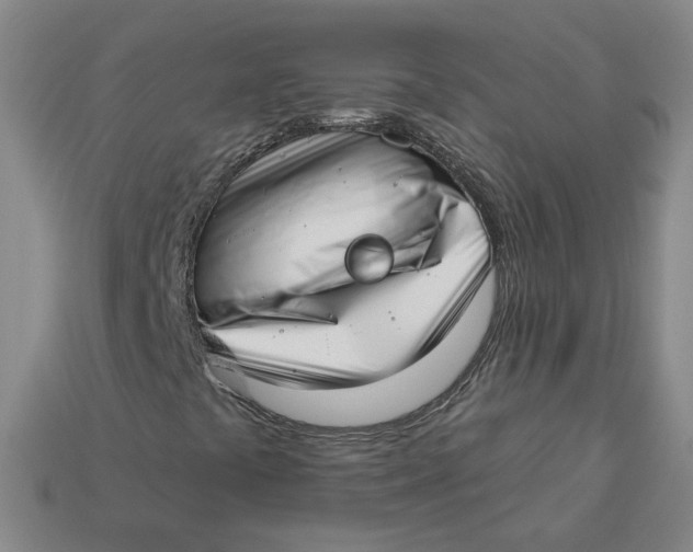 X0000113321441200910051115