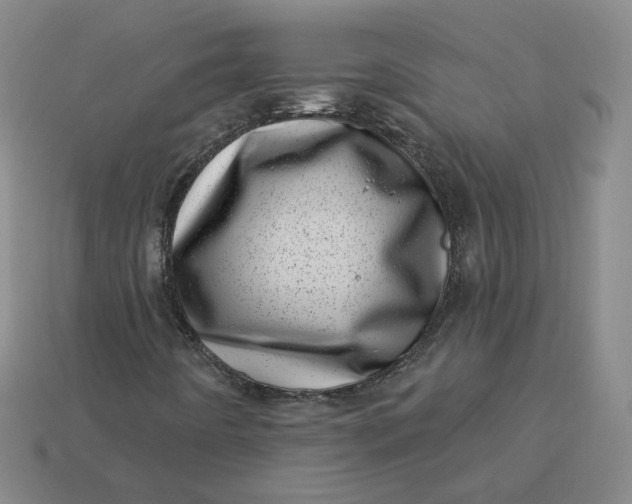 X0000113321442200910051115