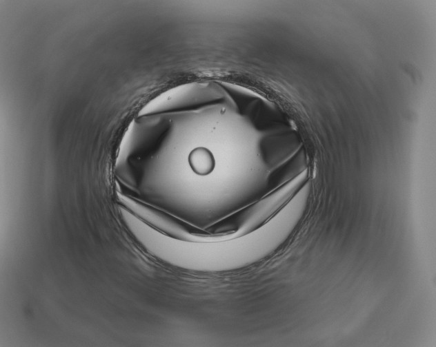 X0000113321444200910051115