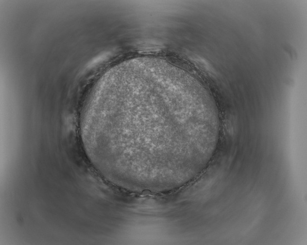 X0000113321445200910051115