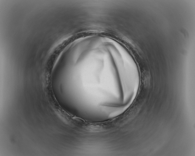 X0000113321448200910051115