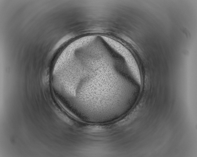 X0000113321450200910051115