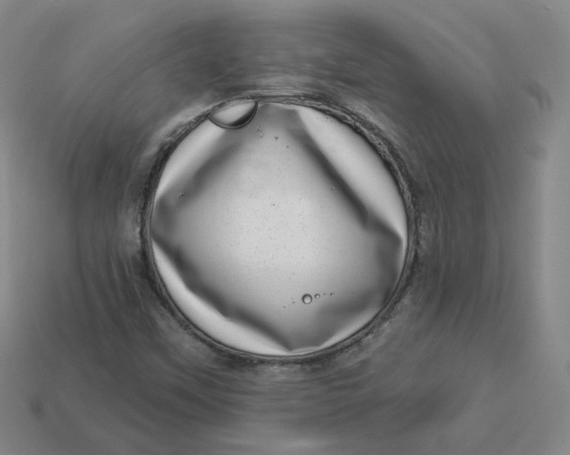 X0000113321451200910051115