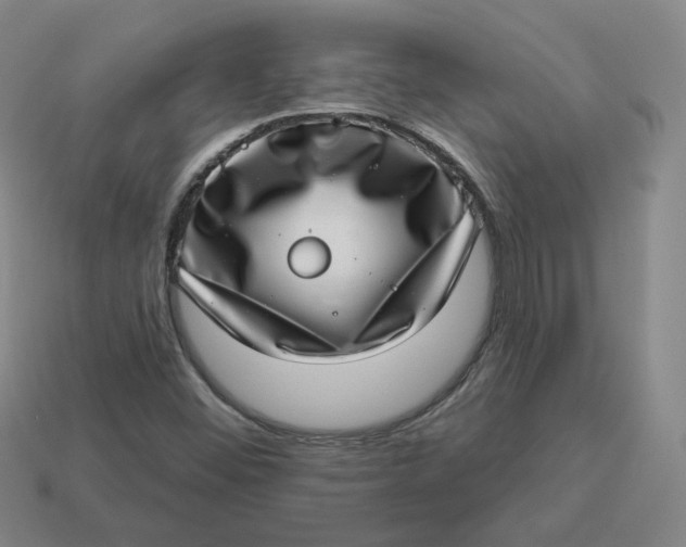 X0000113321452200910051115