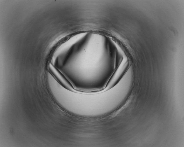 X0000113321453200910051115