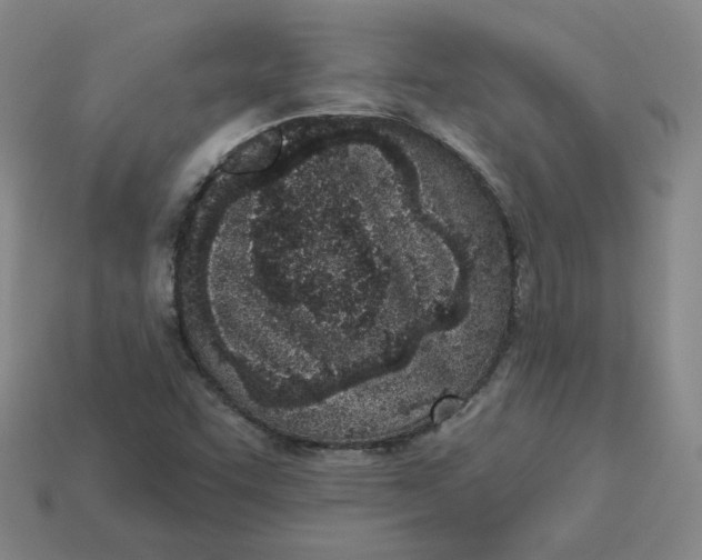 X0000113321455200910051115