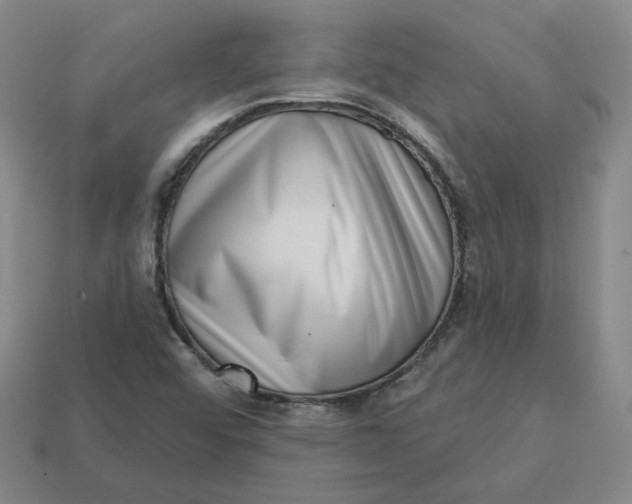 X0000113321456200910051115