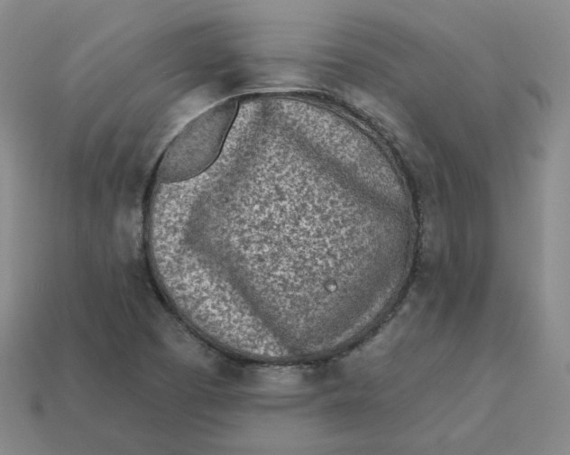 X0000113321457200910051115