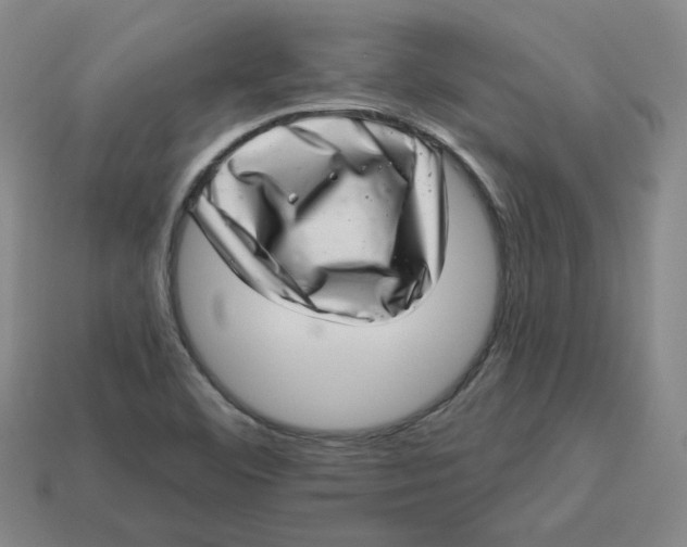 X0000113321460200910051115