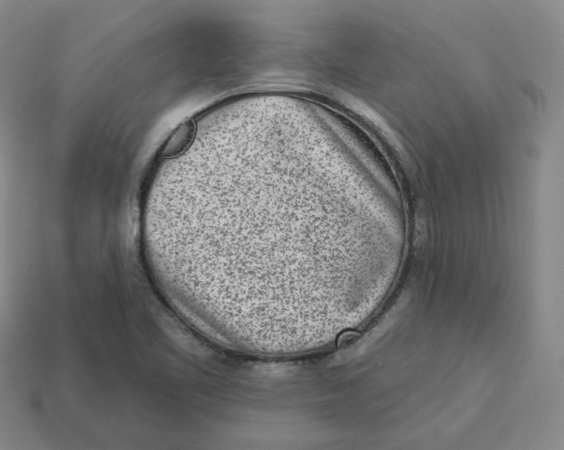 X0000113321461200910051115