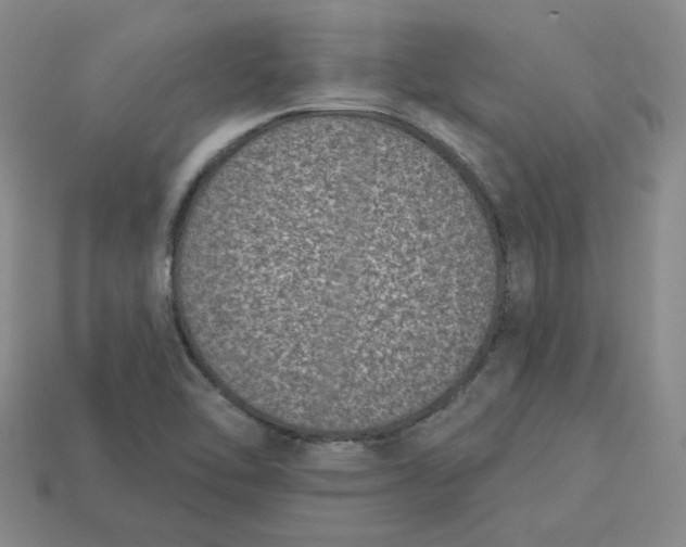 X0000113321462200910051115