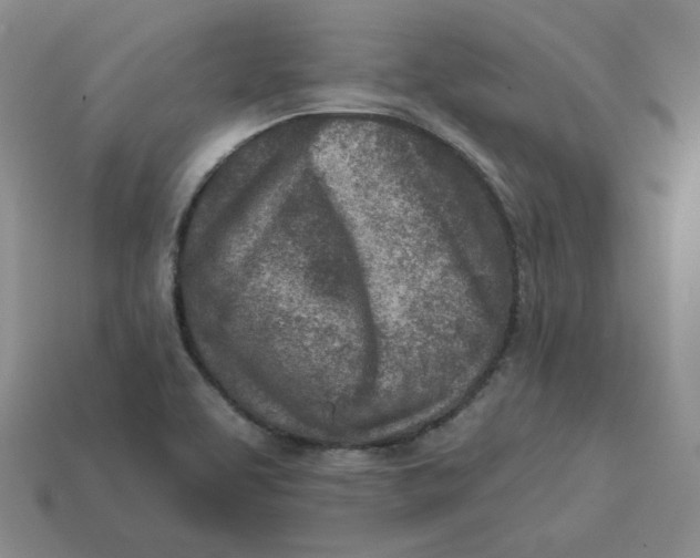 X0000113321463200910051115