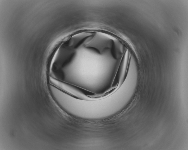 X0000113321464200910051115