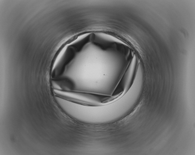 X0000113321465200910051115