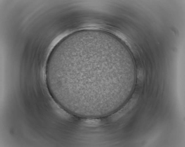 X0000113321466200910051115