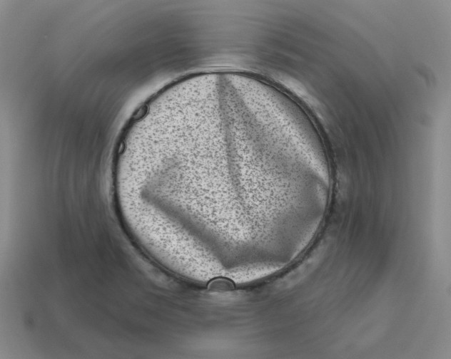 X0000113321469200910051115