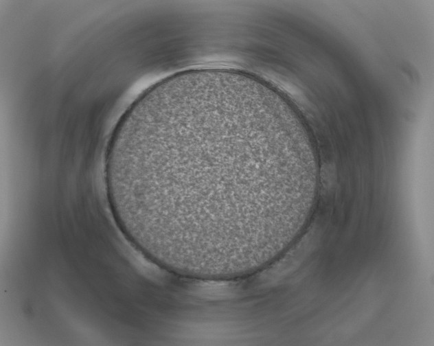 X0000113321470200910051115