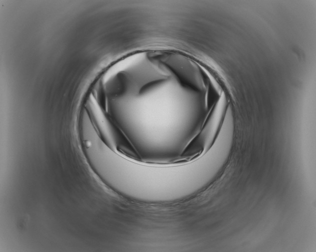 X0000113321472200910051115