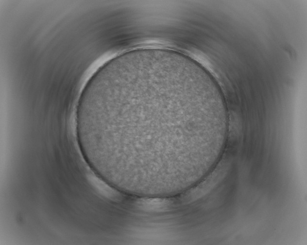 X0000113321474200910051115