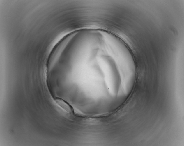 X0000113321476200910051115