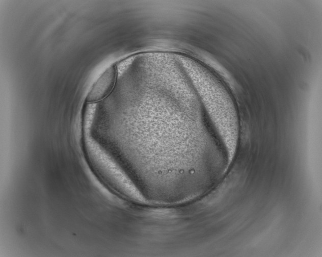 X0000113321479200910051115