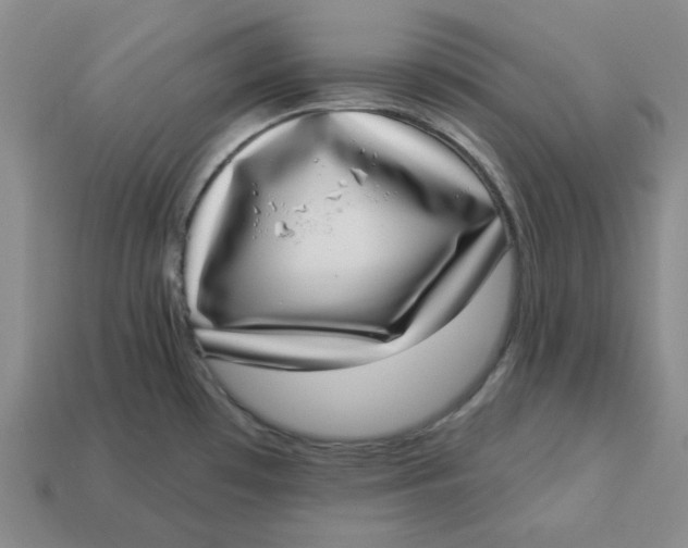 X0000113321481200910051115