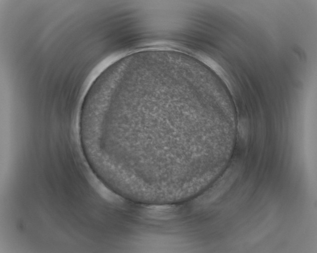 X0000113321482200910051115