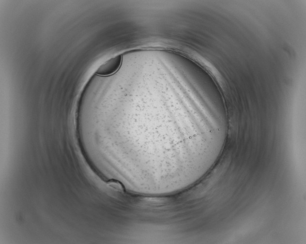 X0000113321483200910051115