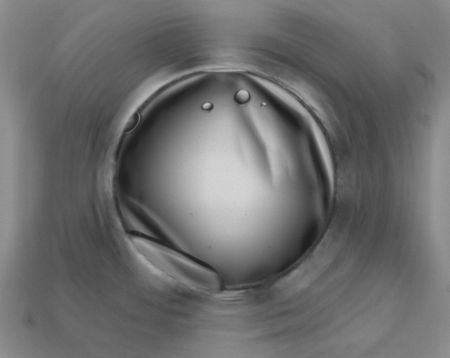 X0000113321484200910051115