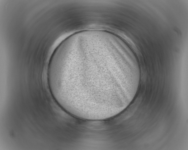 X0000113321486200910051115