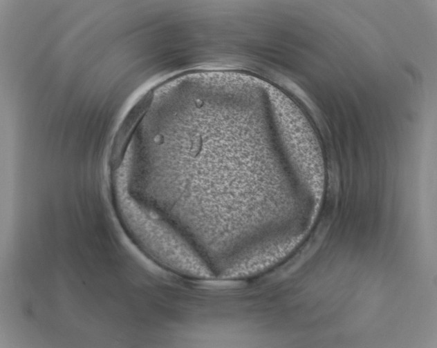 X0000113321487200910051115