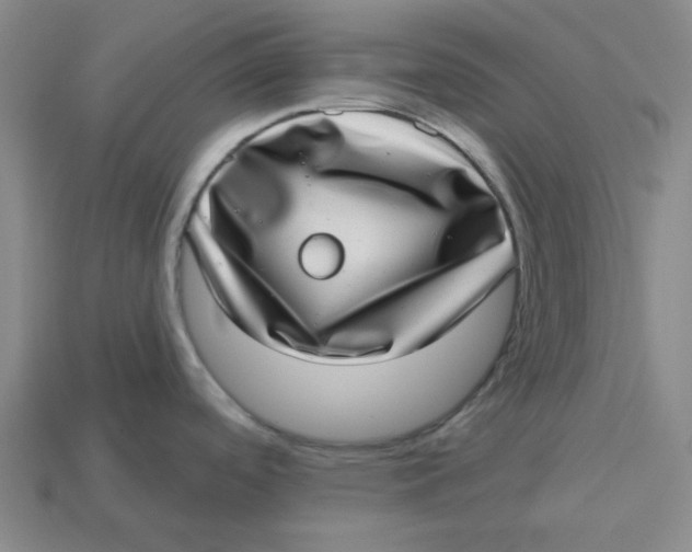 X0000113321488200910051115