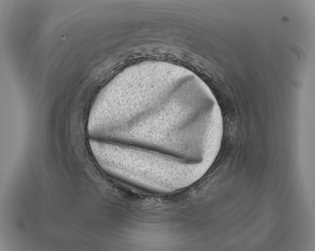 X0000113321489200910051114