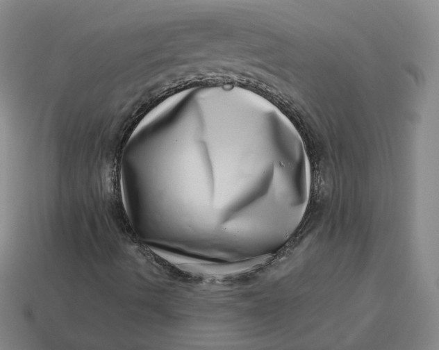 X0000113321490200910051114