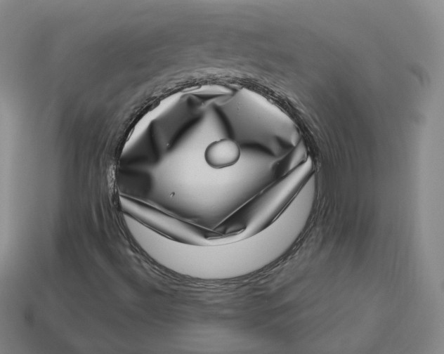 X0000113321492200910051114