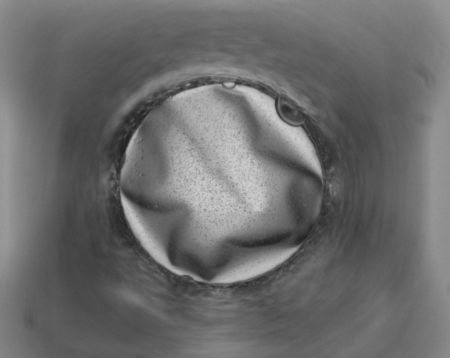 X0000113321495200910051114