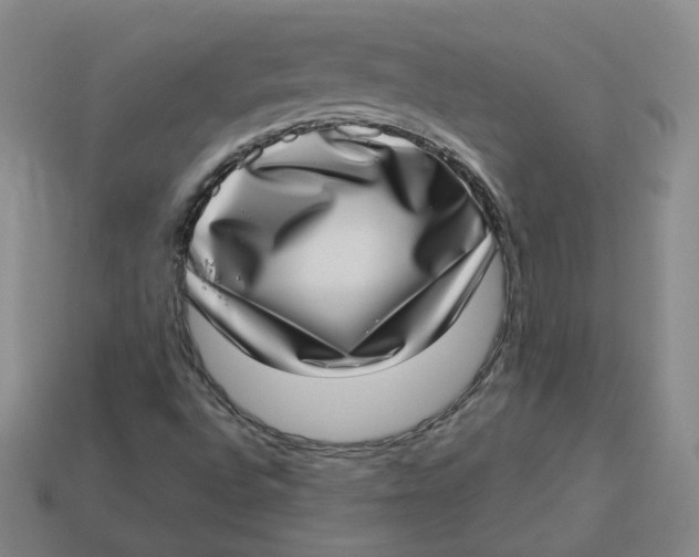 X0000113321496200910051114