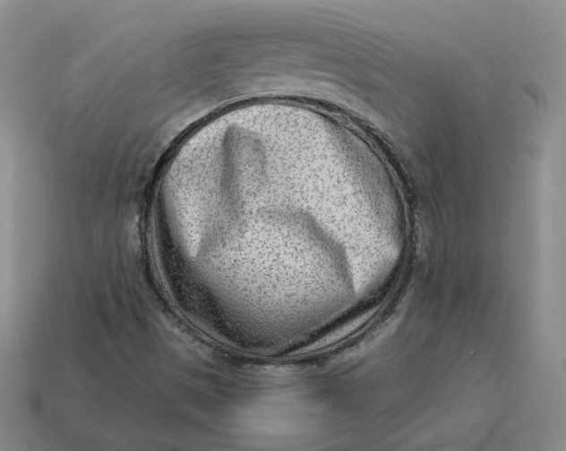 X0000113321497200910051114